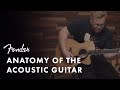 Anatomy of the Acoustic Guitar | Fender