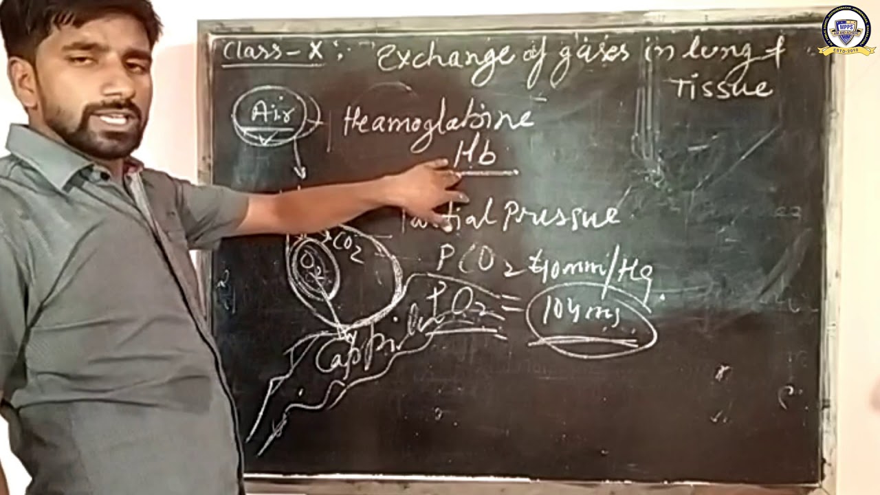 Life Processes