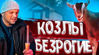 Круговорот ягнят в природе . В один день одна родила, а вторая зачала . Обезроживание козлят .