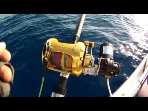 FISH WINCH® 2.0 - Electric Reel Fishing (fits 220+ Penn, Shimano, Avet,  Daiwa, & other brands). 