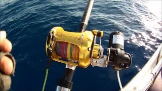 penn electric reel