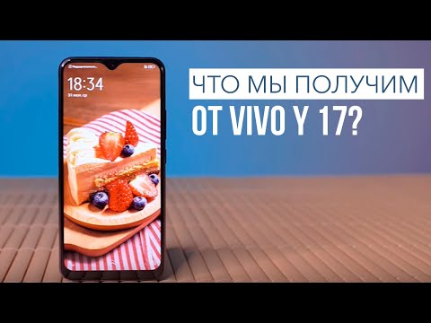 Смартфон Vivo Y17. Для кого?