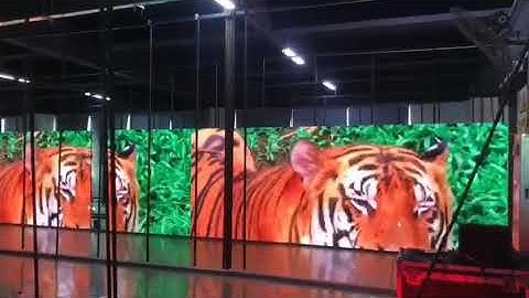 A tiger in our factory, haha, led screen aging testing ! #ledmodule #leddisplayscreen #screefactory