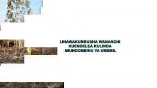 Uharibifu wa Miundo mbinu ya Umeme ni Uhujumu Uchumi  *Uchomaji Moto Nguzo za  Umeme ni Uhujumu Uc