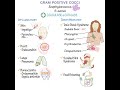 Gram positive cocci overview