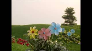 Teletubbies Flowers Footage 4 Original Speed