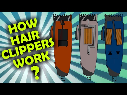 how-rotary,-magnetic-and-pivot-hair-clipper-motors-work?