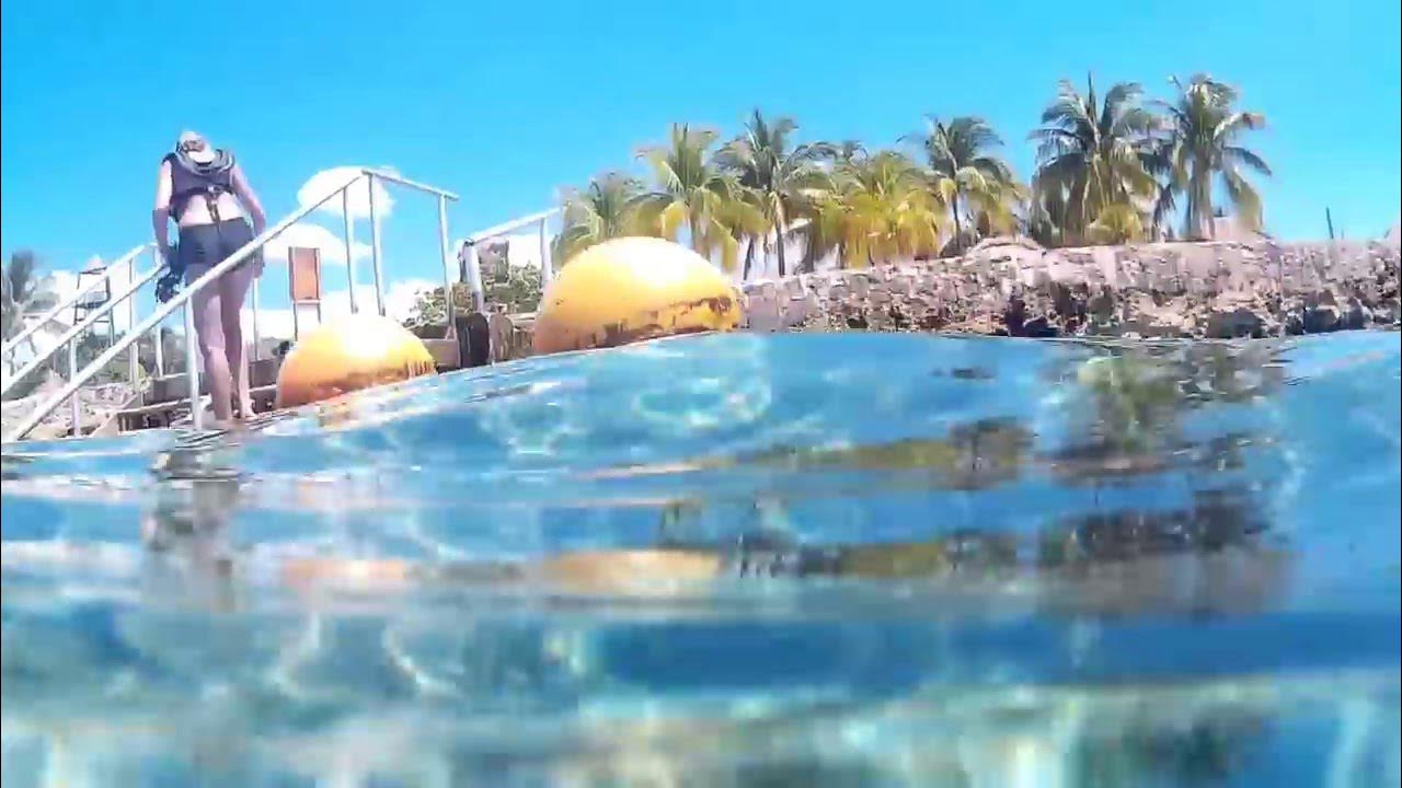 chankanaab snorkeling
