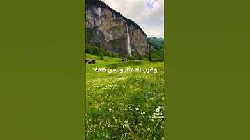 تلاوه خاشعه للشيخ سيد سعيد رحمه الله #قران_كريم #اكسبلور #المصحف