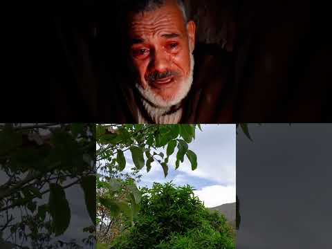 الله يسمح لينا من الوالدين اكسبلور ريلز شورت تازة شورتس تاونات