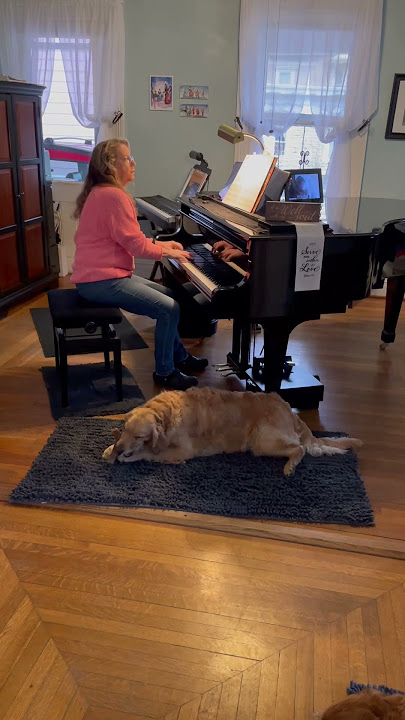 Jungle Fever by Catherine Rollin (Primary 3, NFMC 2020-2024)#shorts #pianomusic #livemusic #piano