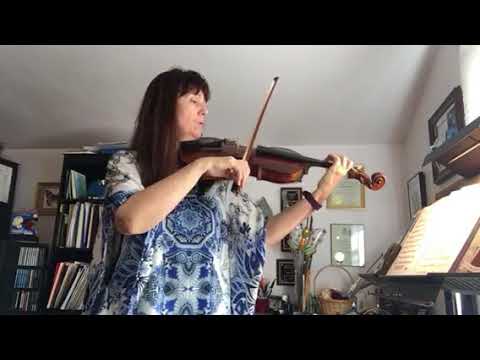Video: Viola Rosa (53 Foto): Descrizione Delle Viole 