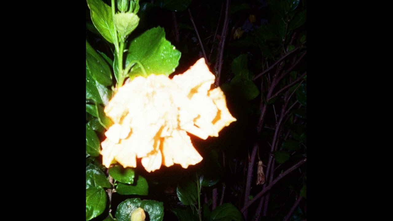 Mornin' Grom! - Times (demo)