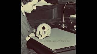 Surgery - Head Transplant Machine