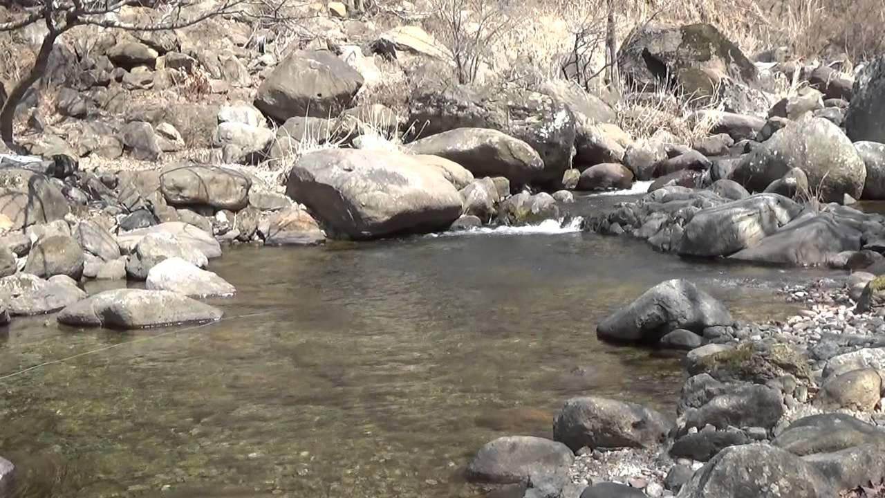 Cherry Trout Fly Fishing South Korea YouTube