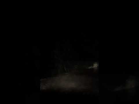 شسوى بيه هواك قلبي يمشي وراك ماجد المهندس