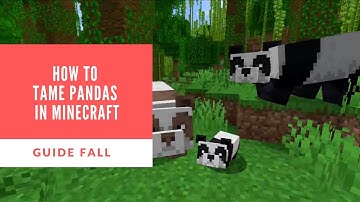 How to Tame Pandas in Minecraft