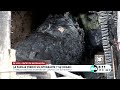 La familia perdió un integrante y su hogar