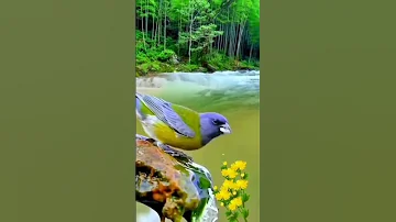 ابداع انشودة ترند وادعموني 