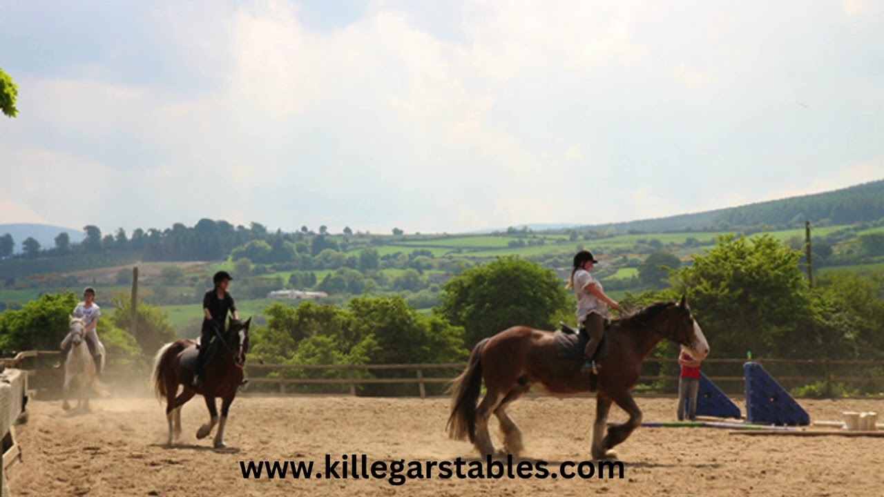 Riding School Wicklow
