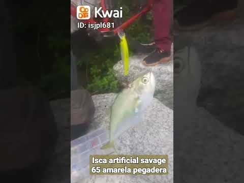 pescando com isca