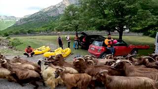 Kayak Tours in Montenegro