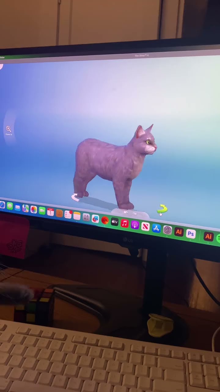 funny cat N 3556