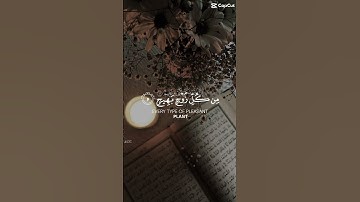 ( وترى الارض هامدة فإذا انزلنا عليها الماء اهتزت وربت ) سورة الحج