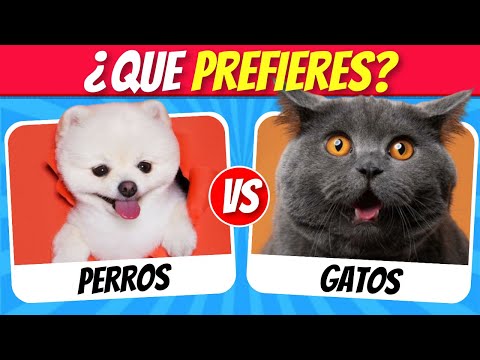¿Que PREFIERES? Edición