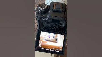 Sony A1 Frame Rate Speed | Sony Alpha1 Electronic High Speed Shutter sound