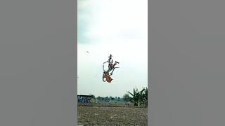 story wa layangan wayang di festival layang-layang dohoagung 2021 #storywa #layanganwayang