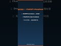 免费AI大对比:ChatGPT vs DeepSeek vs Gemini vs Claude,谁才是2026最强? #tommyai #coding #notionai