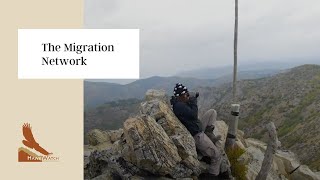 The Migration Network | 35 Years and Counting