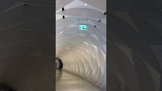 IMG 1900