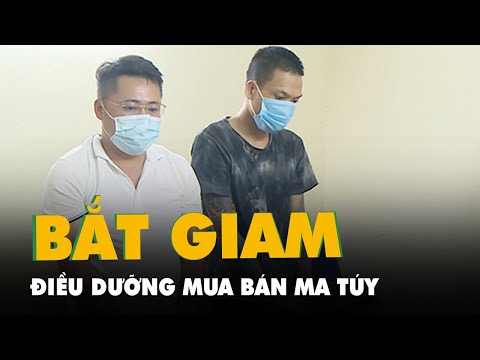 Bắt 1 điều dưỡng cùng đồng bọn mua 4 bánh Heroin và hơn 2.600 viên ma túy tổng hợp