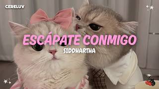 Siddhartha - Escápate Conmigo (Letra)