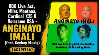 HBK Live Act, Miles Montana, Cardinal X25 & Nomzamo RSA - Anginayo Imali (feat. Ceekay Musiq) [Acape