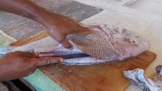 Grouper Fish Cutting | Fast Cutting Skills | FishHunter Som fishing market