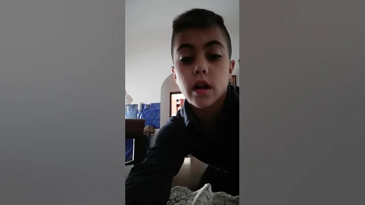 15 novembre 2019