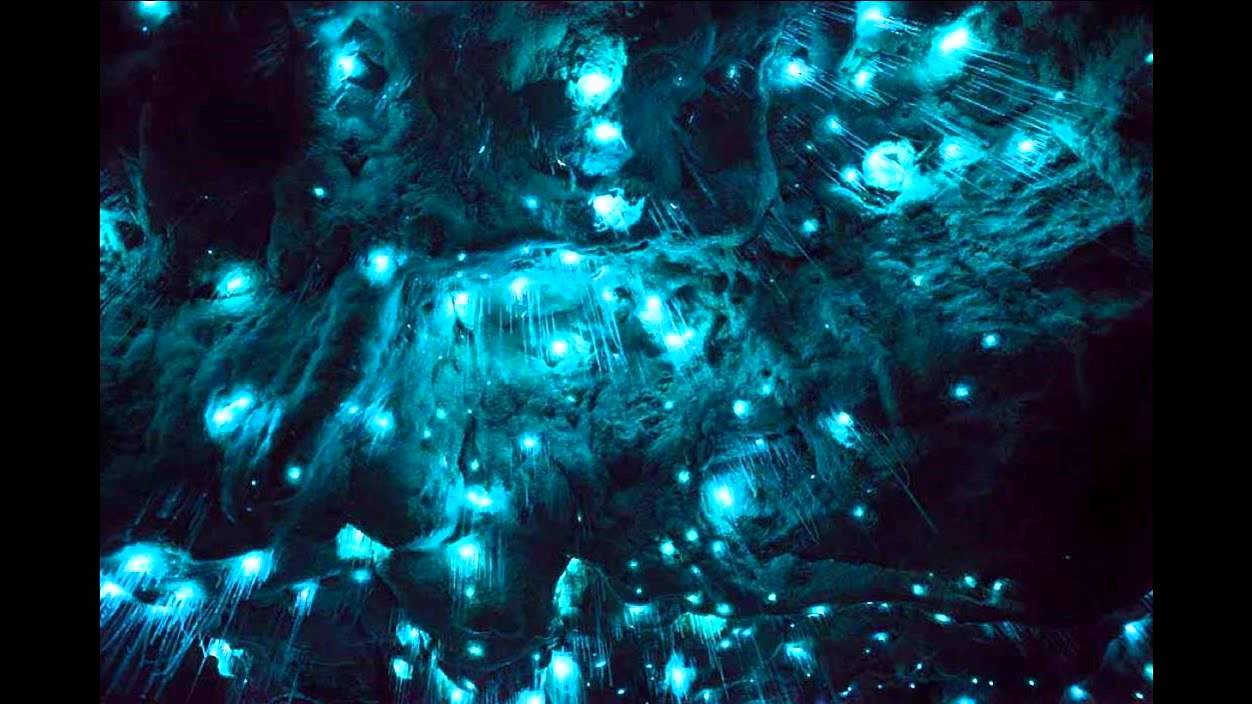 天空の城 ラピュタ ニュージーランドの 洞窟の星空 が 神秘的すぎる Youtube