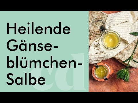 Video: Heilende Löwenzahnmarmelade