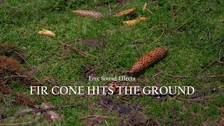 Fir cone hits the ground sound effect @ by VIRAL Element