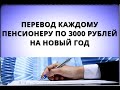 Перевод каждому пенсионеру по 3000 рублей на Новый год