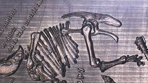 i2R CNC 3D Carve Dinosaur on UCCNC