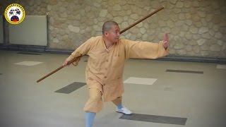 Maître Shi Heng Jun - Quelques Mouvements De La Forme Shaolin Qi Mei Gun