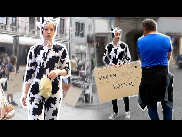 Welt-Milch-Tag = Welt-Mord-Tag  Vegane Kuh VS. Nicht-Veganer 
