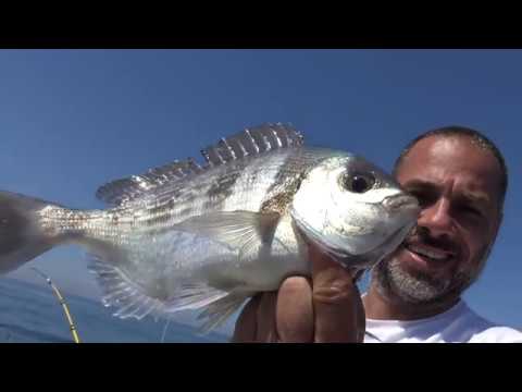 Pesca in Mare: Trolling Bolentino 2