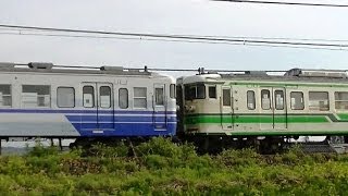 115系新潟L1+N24編成 信越本線普通442M