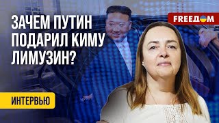 ШИКАРНЫЙ подарок Киму: Путин сознательно НАРУШАЕТ санкции! Мнение Курносовой