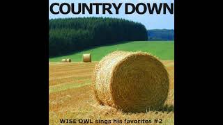 Beck - Country Down (Reggae Version)